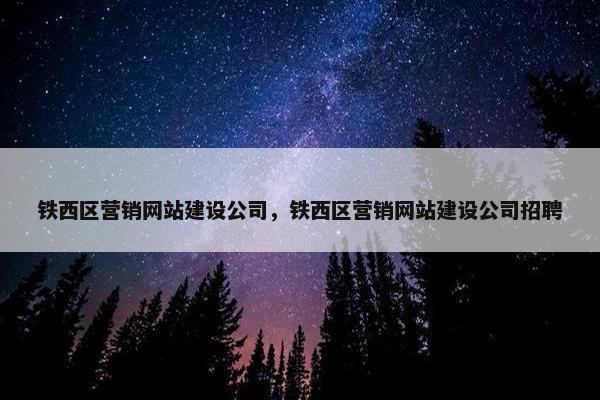 铁西区营销网站建设公司，铁西区营销网站建设公司招聘