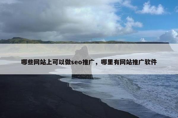 哪些网站上可以做seo推广，哪里有网站推广软件