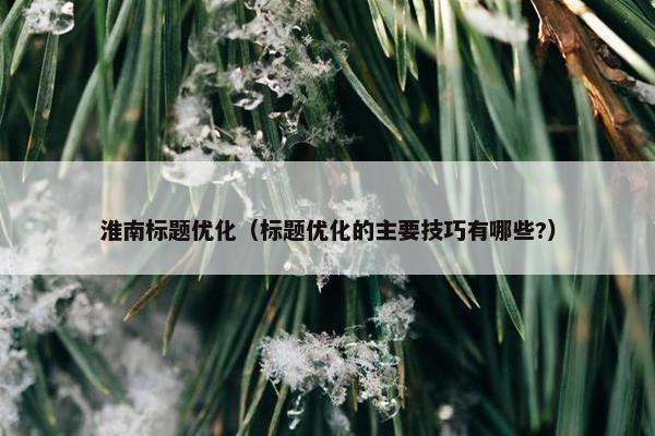 淮南标题优化（标题优化的主要技巧有哪些?）
