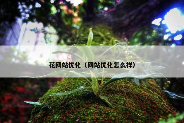 花网站优化（网站优化怎么样）