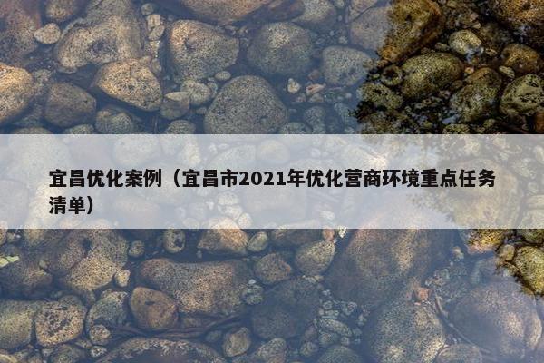 宜昌优化案例（宜昌市2021年优化营商环境重点任务清单）