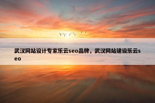 武汉网站设计专家乐云seo品牌，武汉网站建设乐云seo