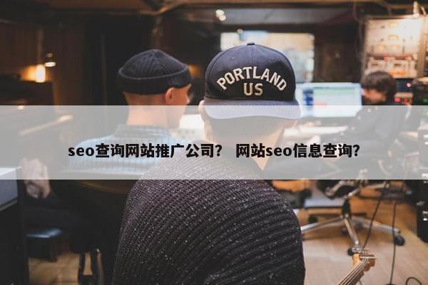 seo查询网站推广公司？ 网站seo信息查询？