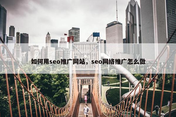 如何用seo推广网站，seo网络推广怎么做