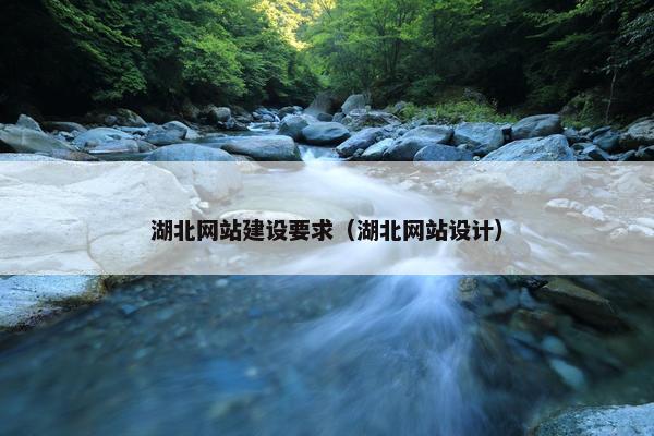湖北网站建设要求（湖北网站设计）