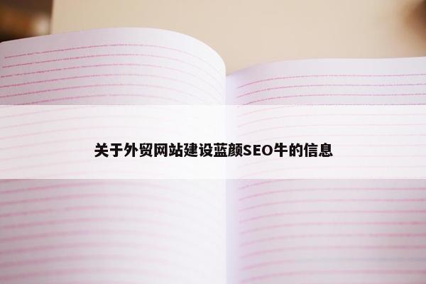 关于外贸网站建设蓝颜SEO牛的信息