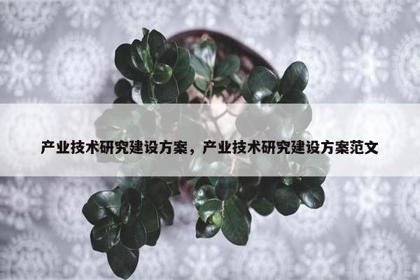 产业技术研究建设方案，产业技术研究建设方案范文
