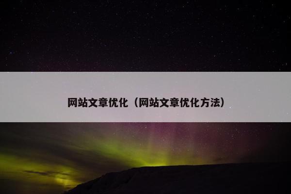 网站文章优化（网站文章优化方法）