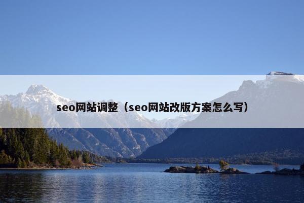 seo网站调整（seo网站改版方案怎么写）
