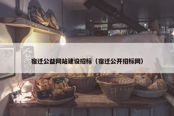 宿迁公益网站建设招标（宿迁公开招标网）