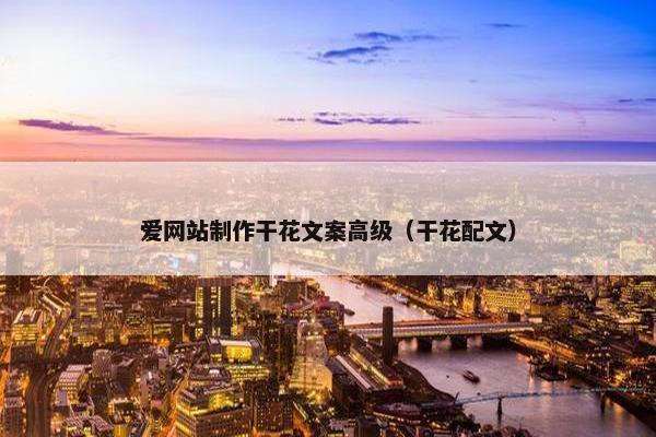爱网站制作干花文案高级（干花配文）