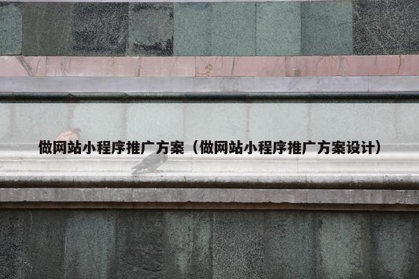 做网站小程序推广方案（做网站小程序推广方案设计）