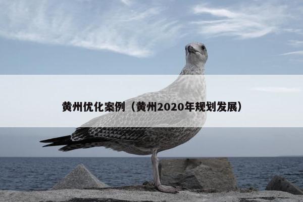 黄州优化案例（黄州2020年规划发展）