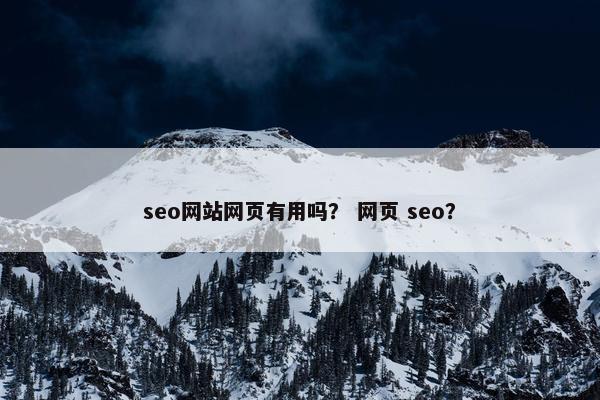 seo网站网页有用吗？ 网页 seo？