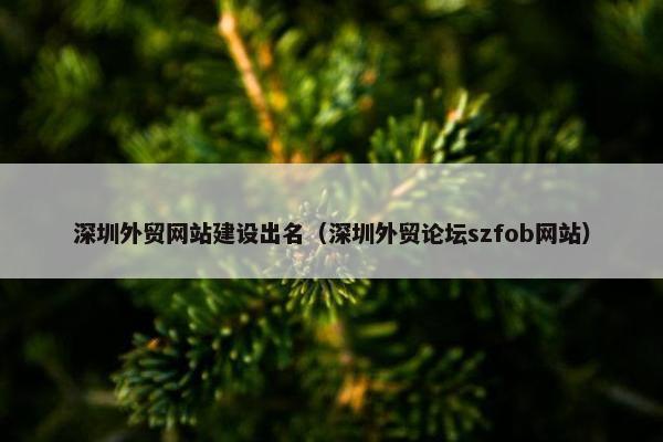 深圳外贸网站建设出名（深圳外贸论坛szfob网站）