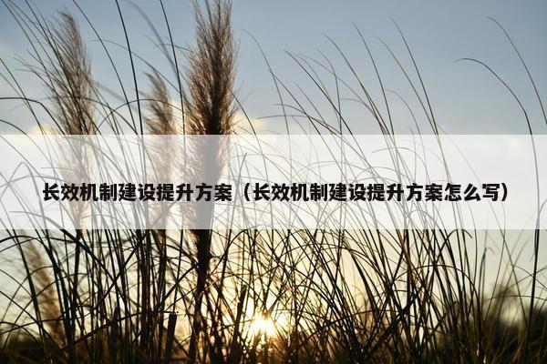 长效机制建设提升方案（长效机制建设提升方案怎么写）