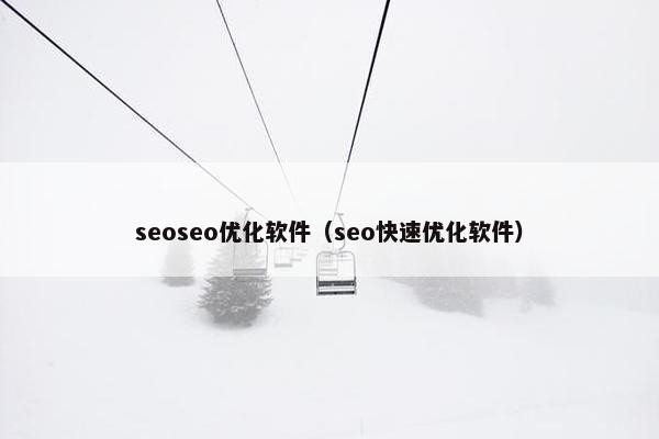 seoseo优化软件（seo快速优化软件）