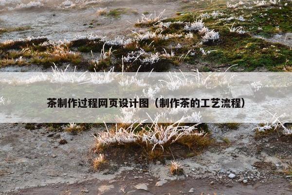 茶制作过程网页设计图（制作茶的工艺流程）