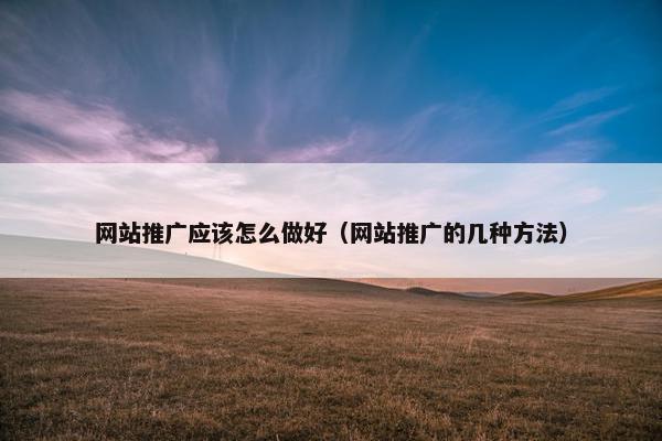 网站推广应该怎么做好（网站推广的几种方法）