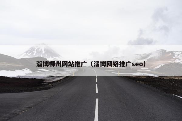 淄博柳州网站推广（淄博网络推广seo）