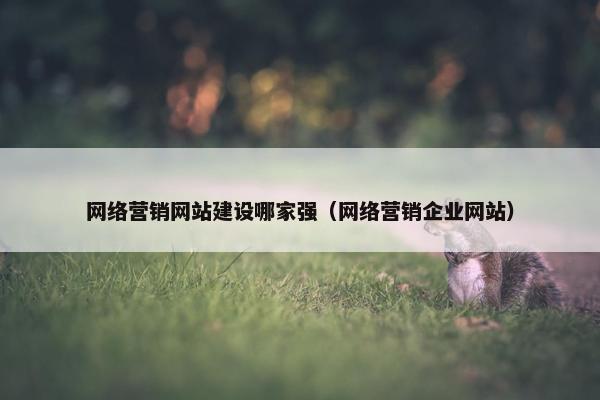 网络营销网站建设哪家强（网络营销企业网站）