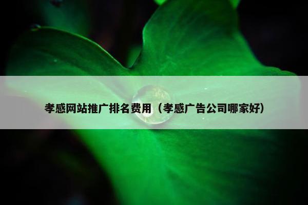 孝感网站推广排名费用（孝感广告公司哪家好）