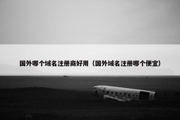 国外哪个域名注册商好用（国外域名注册哪个便宜）