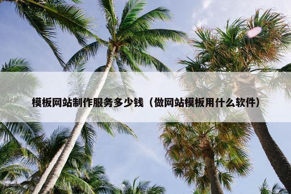 模板网站制作服务多少钱（做网站模板用什么软件）