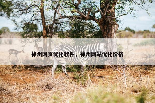 徐州网页优化软件，徐州网站优化价格