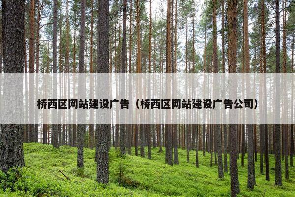 桥西区网站建设广告（桥西区网站建设广告公司）