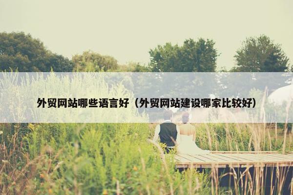 外贸网站哪些语言好（外贸网站建设哪家比较好）