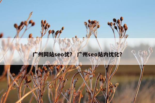 广州网站seo优？ 广州seo站内优化？