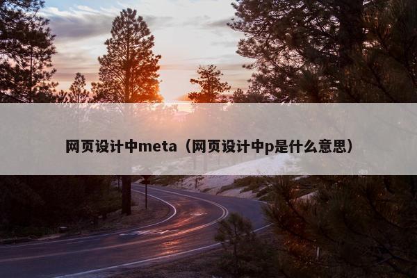 网页设计中meta（网页设计中p是什么意思）