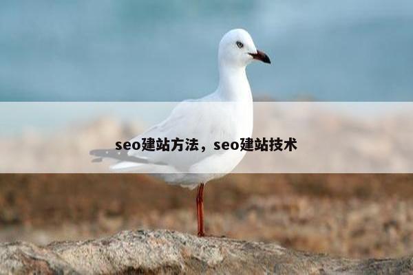 seo建站方法，seo建站技术