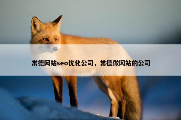 常德网站seo优化公司，常德做网站的公司