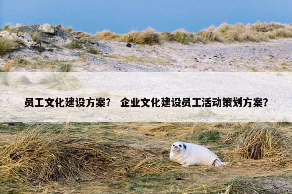 员工文化建设方案？ 企业文化建设员工活动策划方案？