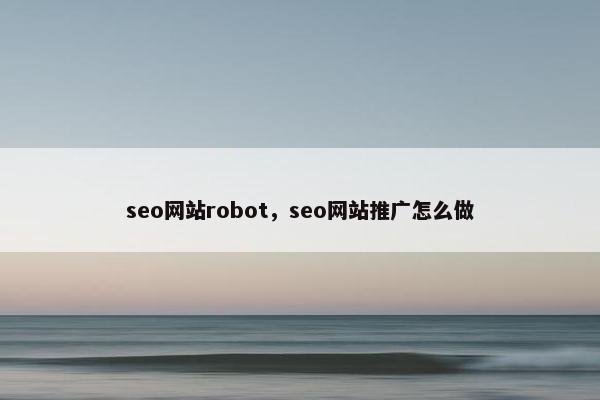 seo网站robot，seo网站推广怎么做