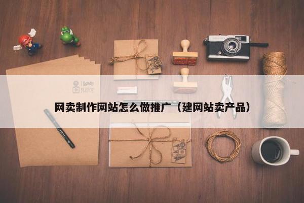 网卖制作网站怎么做推广（建网站卖产品）