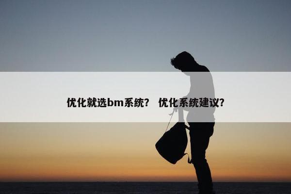 优化就选bm系统？ 优化系统建议？
