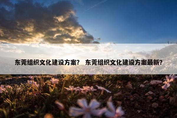 东莞组织文化建设方案？ 东莞组织文化建设方案最新？