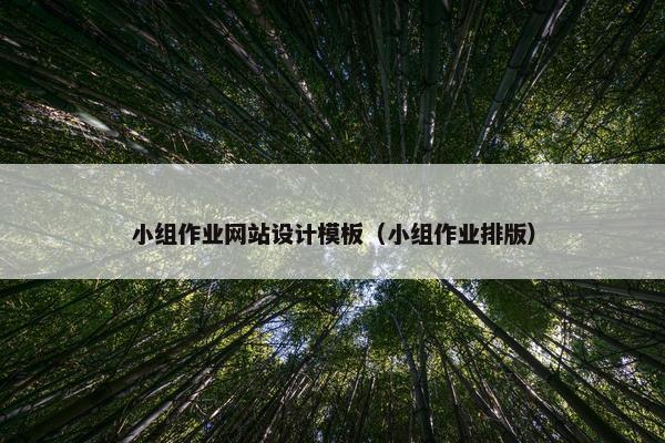 小组作业网站设计模板（小组作业排版）