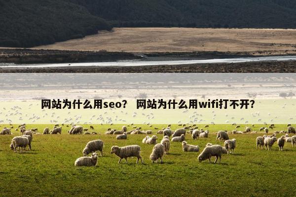 网站为什么用seo？ 网站为什么用wifi打不开？