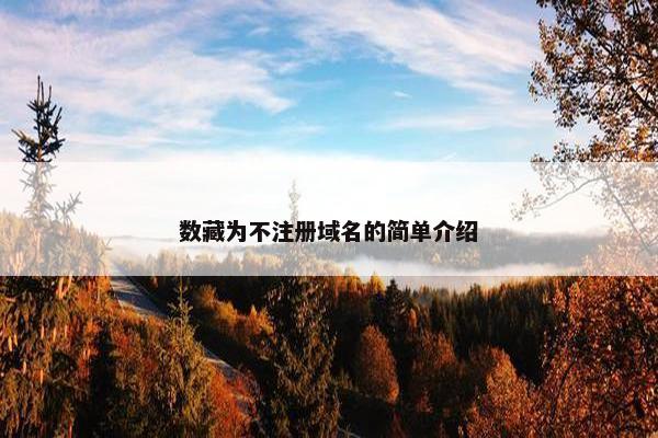数藏为不注册域名的简单介绍 数藏为不注册域名的简单介绍
