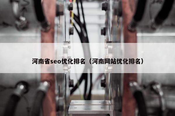 河南省seo优化排名（河南网站优化排名）