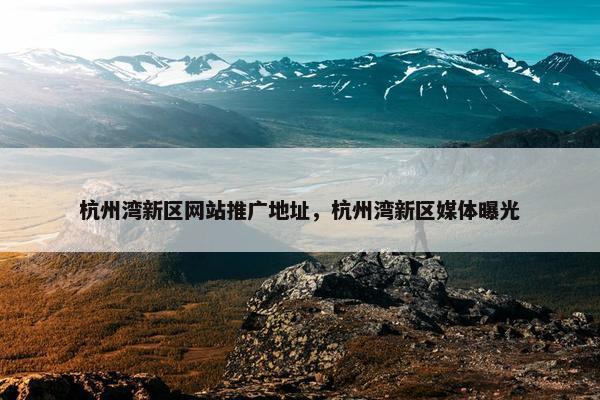 杭州湾新区网站推广地址，杭州湾新区媒体曝光