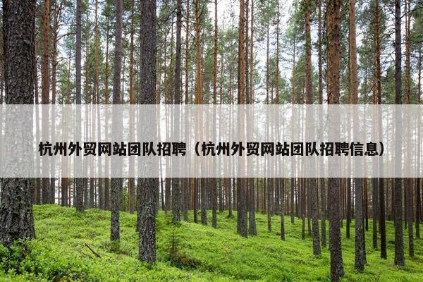 杭州外贸网站团队招聘（杭州外贸网站团队招聘信息）