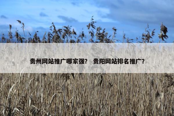 贵州网站推广哪家强？ 贵阳网站排名推广？