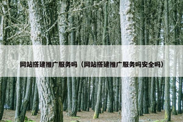 网站搭建推广服务吗（网站搭建推广服务吗安全吗）