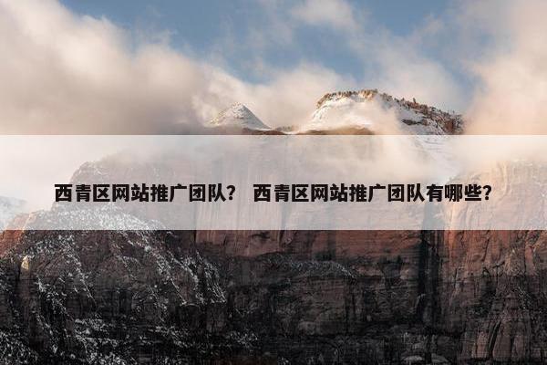 西青区网站推广团队？ 西青区网站推广团队有哪些？