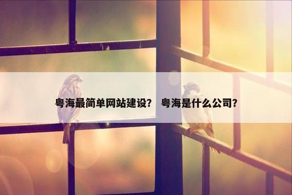 粤海最简单网站建设？ 粤海是什么公司？